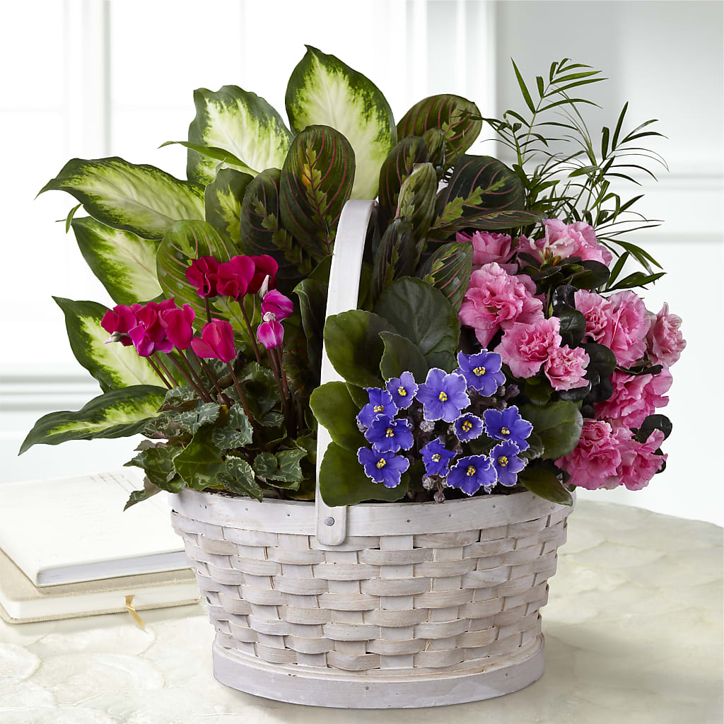 Peaceful Garden Planter – RIDLEY'S, Twin Falls ID