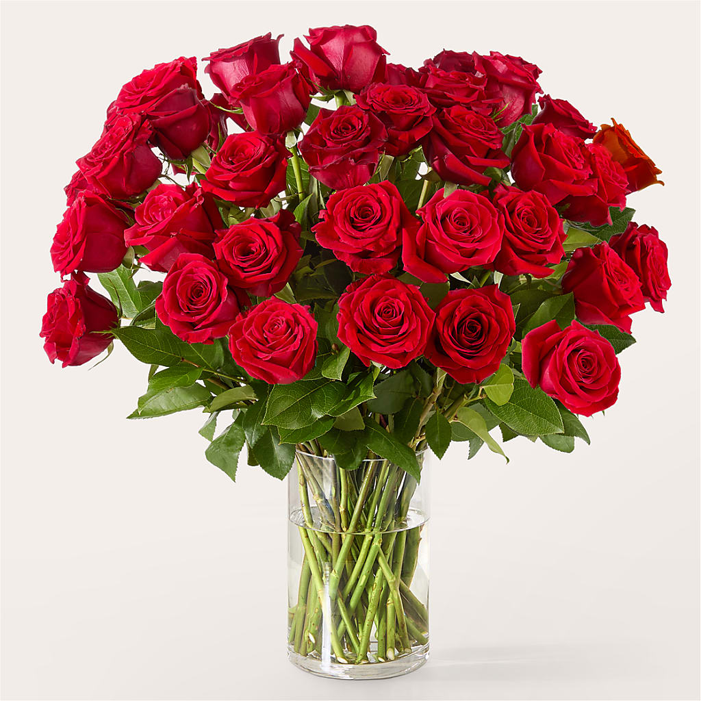 The One Red Rose Bouquet – RIDLEY'S, Twin Falls ID
