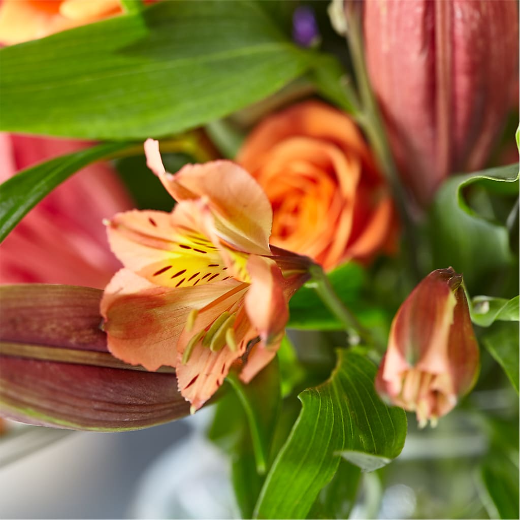 Bold & Bright – A Florist Original – RIDLEY'S, Twin Falls ID