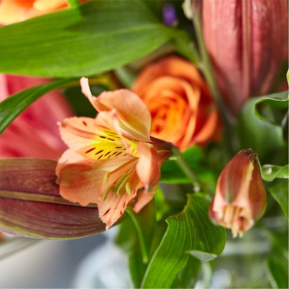 Bold & Bright – A Florist Original – RIDLEY'S, Twin Falls ID