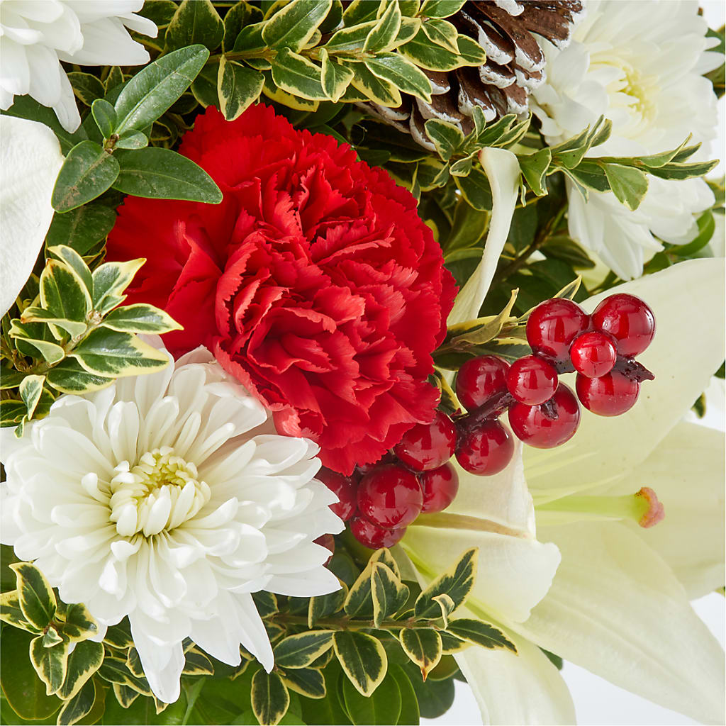 Festive Moments Tree – RIDLEY'S, Twin Falls ID