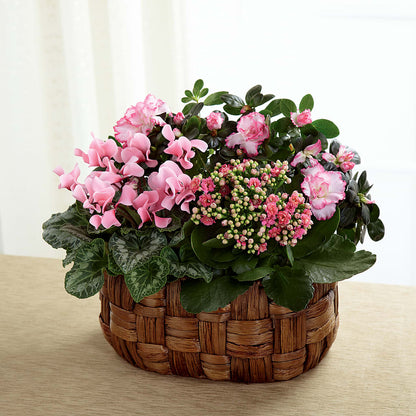 Pink Assortment – RIDLEY'S, Twin Falls ID