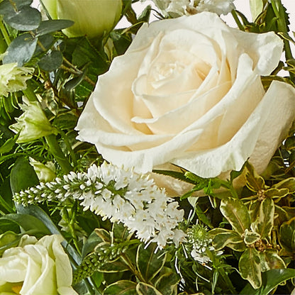Cashmere Bouquet – RIDLEY'S, Twin Falls ID