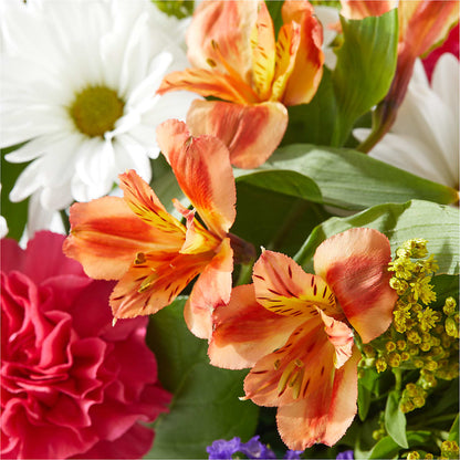 Oopsie Daisy Box Bouquet – RIDLEY'S, Twin Falls ID