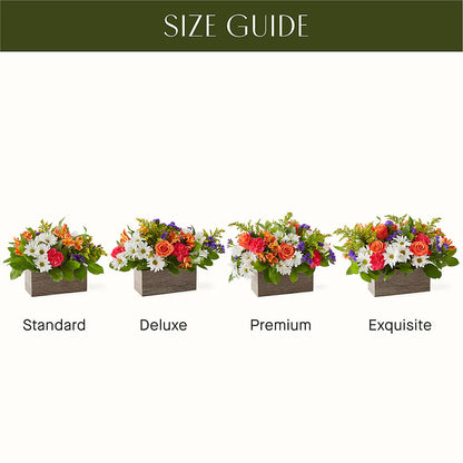 Oopsie Daisy Box Bouquet – RIDLEY'S, Twin Falls ID