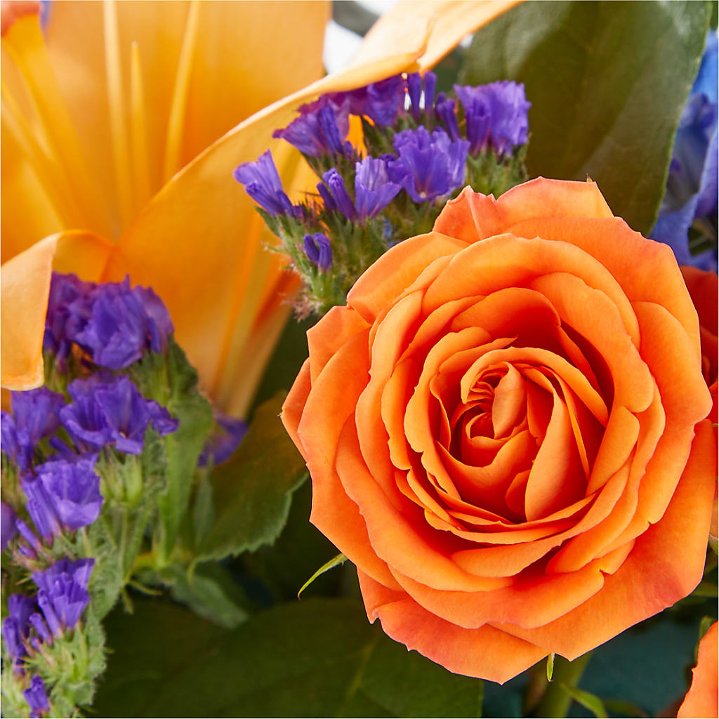 Radiant Citrus Box Bouquet – RIDLEY'S, Twin Falls ID