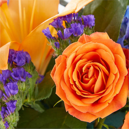 Radiant Citrus Box Bouquet – RIDLEY'S, Twin Falls ID