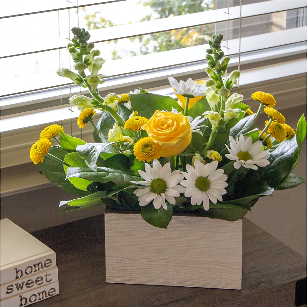 Sun Salutation Box Bouquet – RIDLEY'S, Twin Falls ID