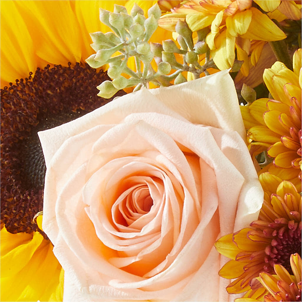Pumpkin to Talk About Bouquet – RIDLEY'S, Twin Falls ID