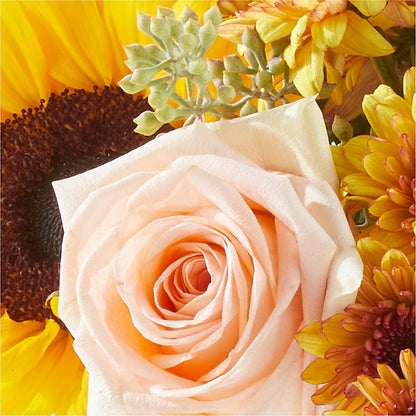 Pumpkin to Talk About Bouquet – RIDLEY'S, Twin Falls ID