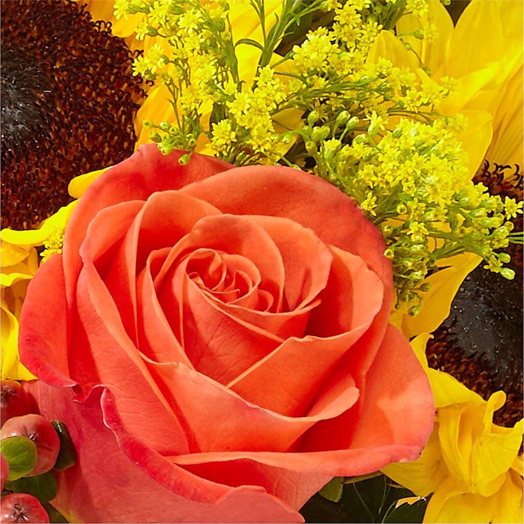 Pick of the Patch Pumpkin Bouquet – RIDLEY'S, Twin Falls ID