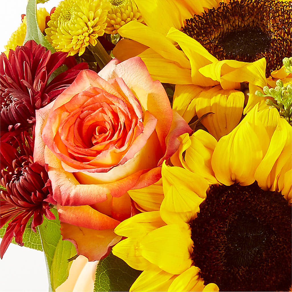 Golden Gourd Pumpkin Bouquet – RIDLEY'S, Twin Falls ID