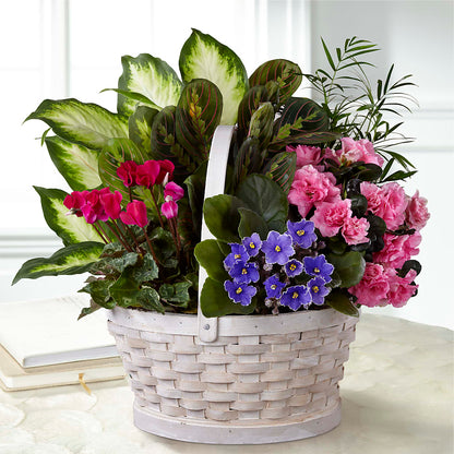 Peaceful Garden Planter – RIDLEY'S, Twin Falls ID