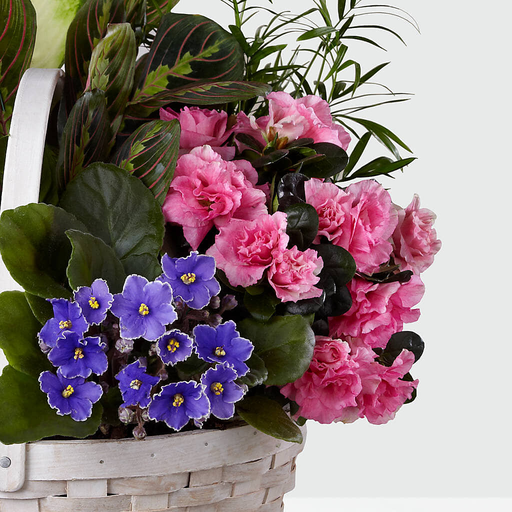 Peaceful Garden Planter – RIDLEY'S, Twin Falls ID
