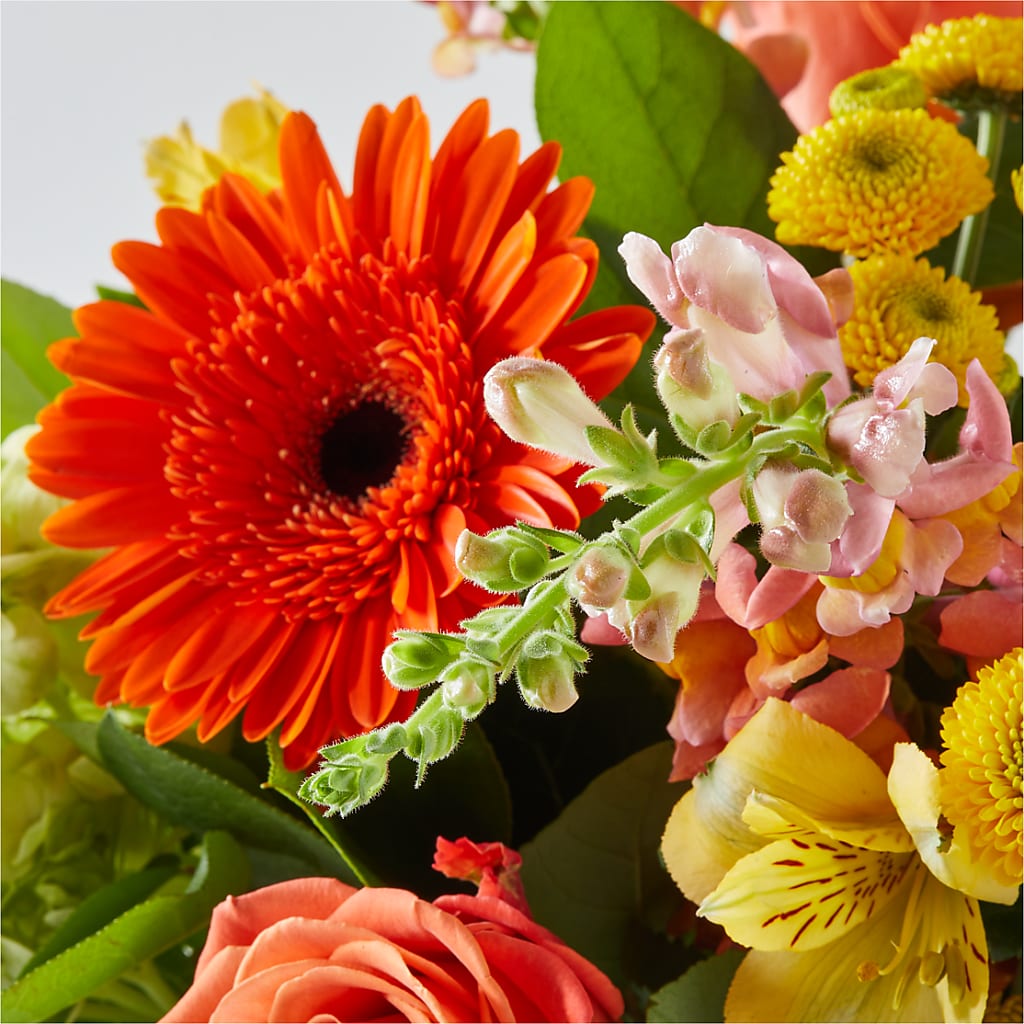 Autumn Sunshine Bouquet – RIDLEY'S, Twin Falls ID