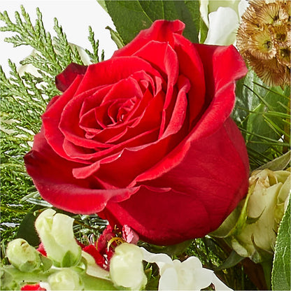 Deck the Halls Bouquet – RIDLEY'S, Twin Falls ID