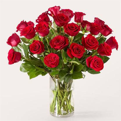The One Red Rose Bouquet – RIDLEY'S, Twin Falls ID